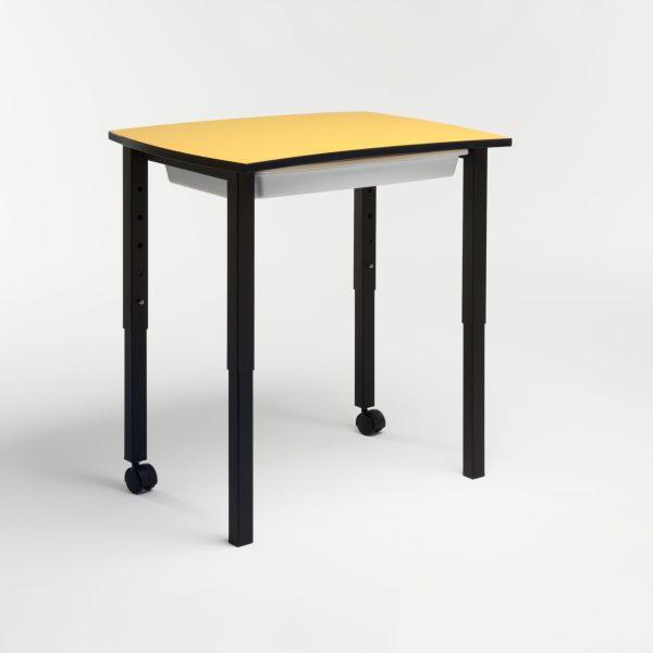 Luna Primary Adjustable Desk C